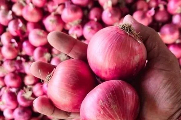Onion prices in Lagos State have surged nearly 50% in the past three months